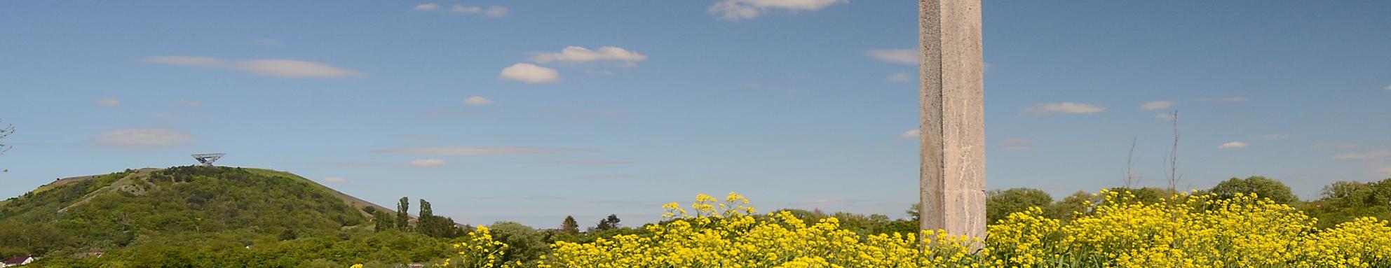 Seelsorgerinnen und Seelsorger | Pastoraler Raum Saarlouis